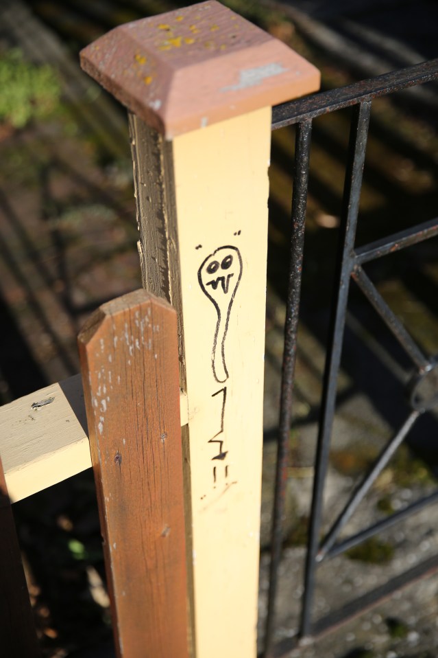 Some cheeky graffiti on the gate of our AirBnB house. Victoria, Britich Columbia. 