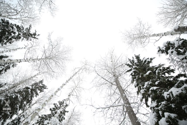 Winter in Canada is endlessly fascinating. 