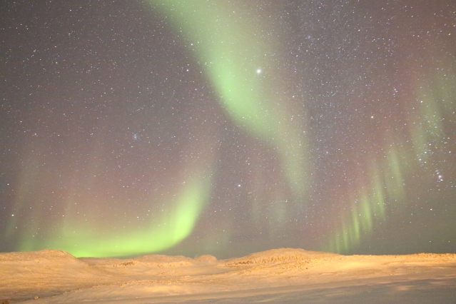 The northern lights dance above the frozen landscape of Victoria Island. Canadian Northwest Territories.